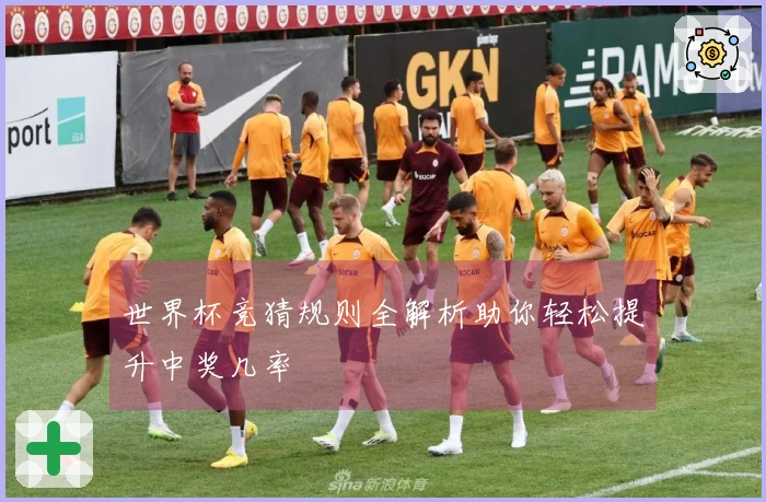 世界杯竞猜规则全解析助你轻松提升中奖几率