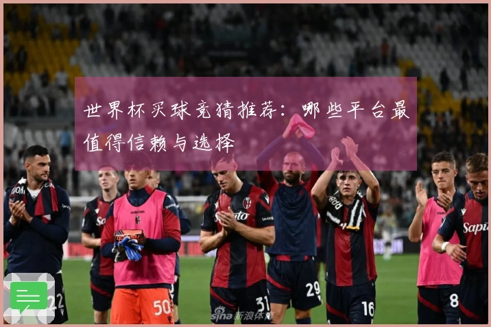 世界杯买球竞猜推荐：哪些平台最值得信赖与选择