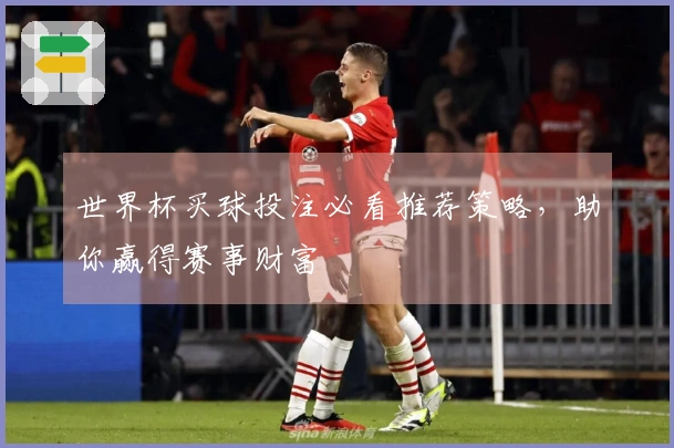 世界杯买球投注必看推荐策略，助你赢得赛事财富