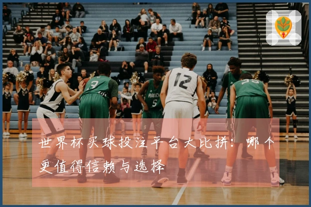 世界杯买球投注平台大比拼：哪个更值得信赖与选择